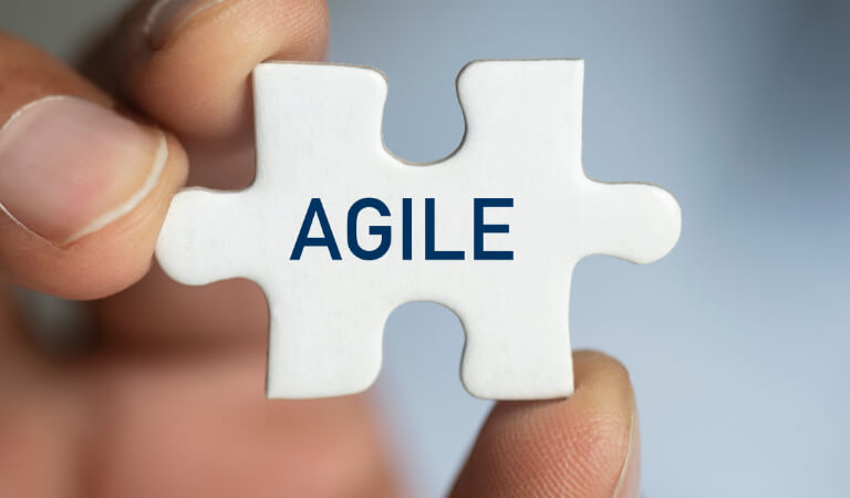 Agile coach.